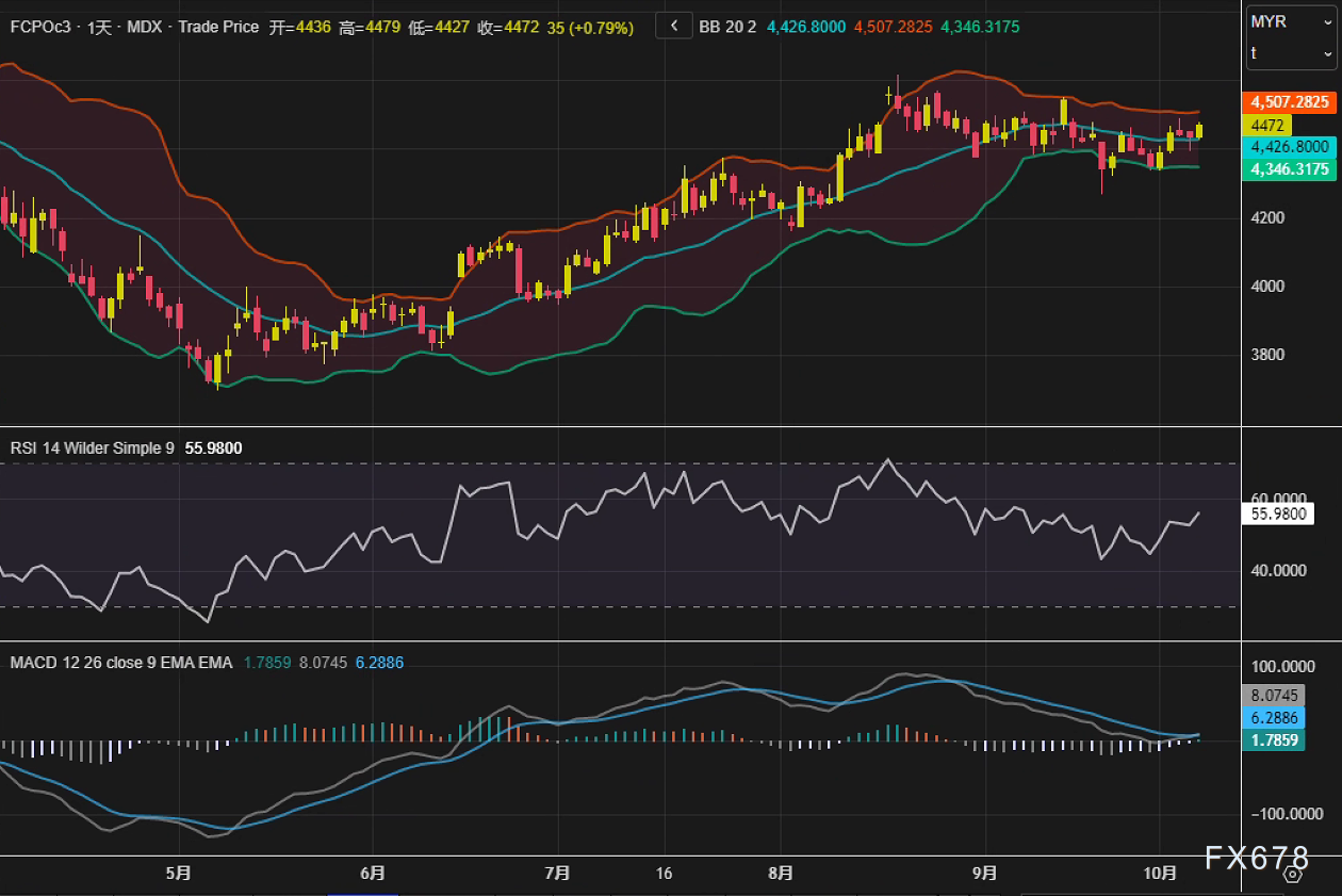 【XM官网】棕榈油止跌回升，供应收紧预期与豆油走强共筑支撑(图2)